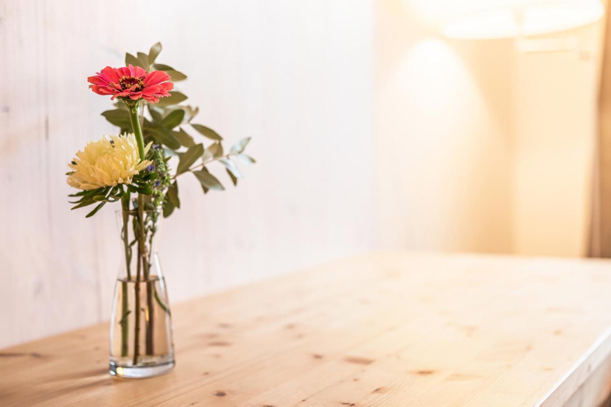 Pension Goldenes Schiff Passau Ngoại thất bức ảnh